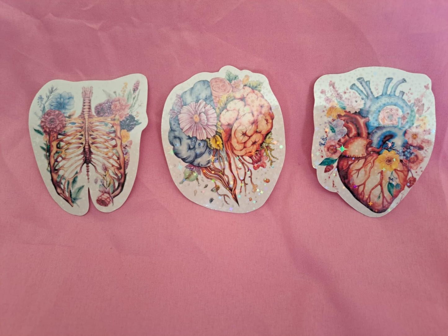 Holographic Anatomy Stickers