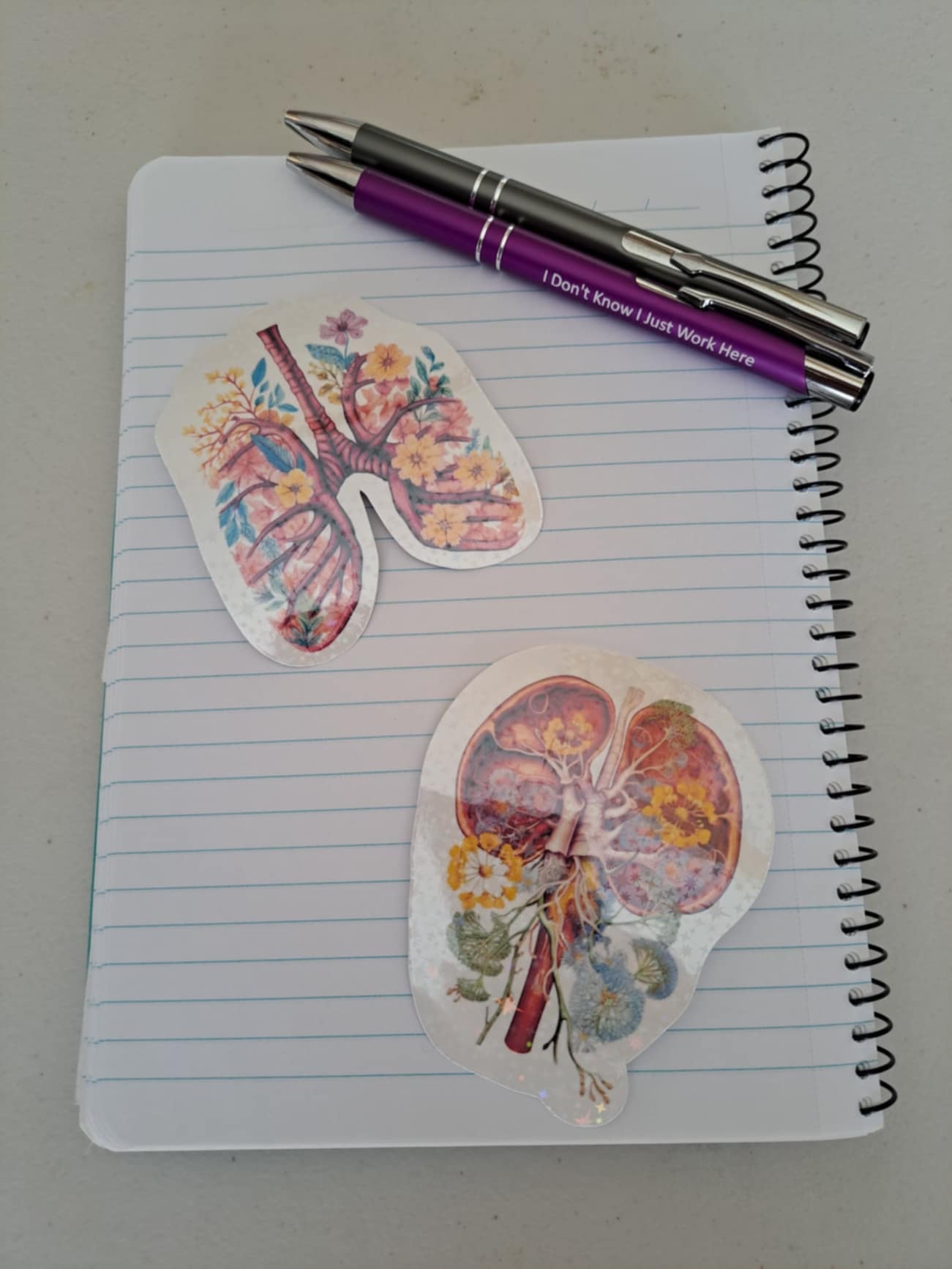 Holographic Anatomy Stickers