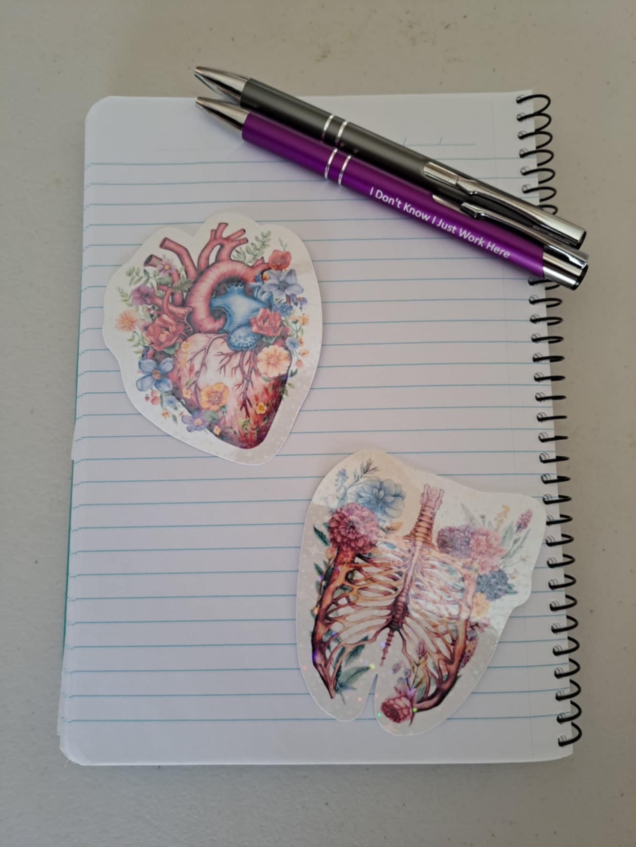 Holographic Anatomy Stickers