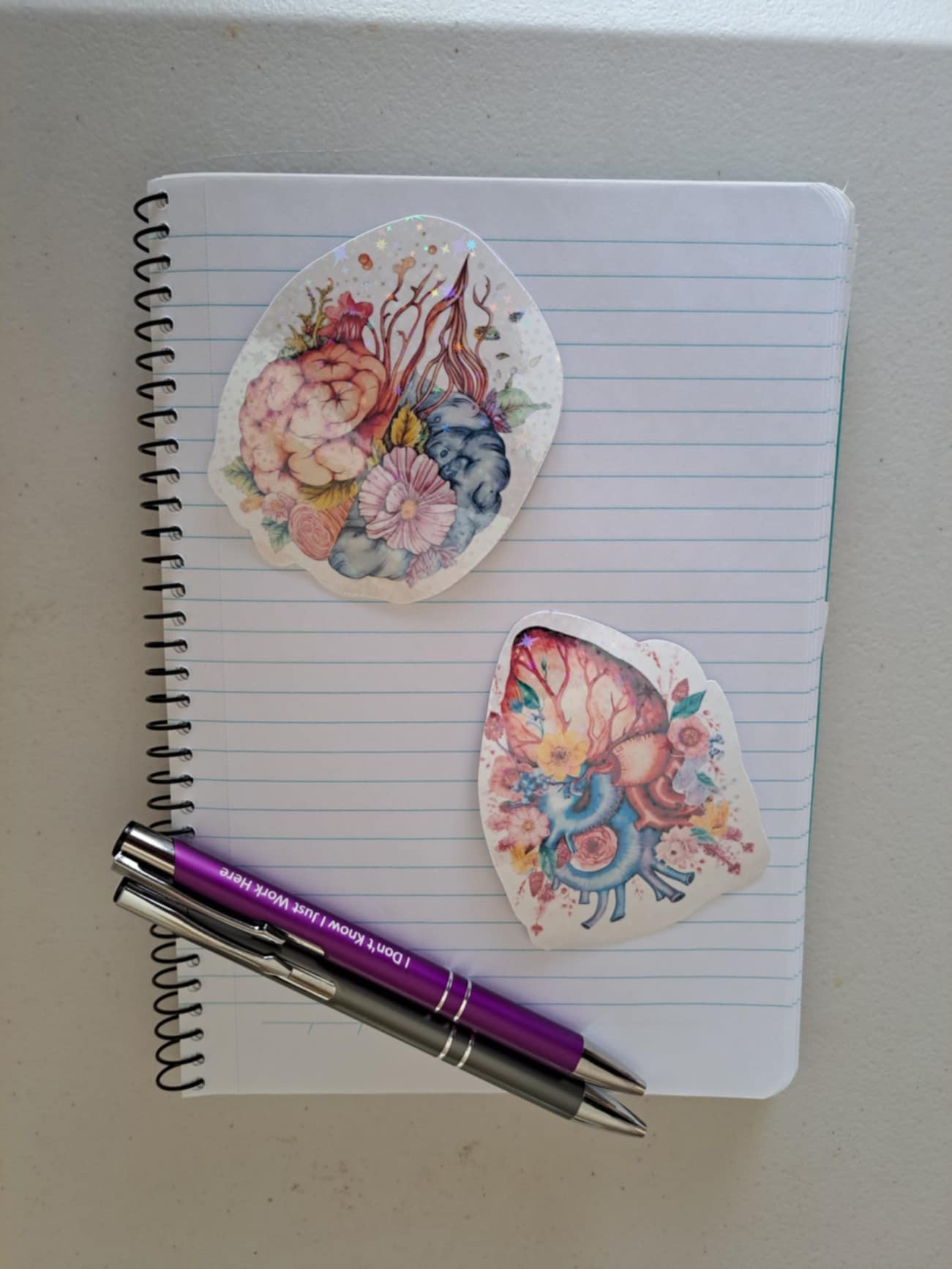 Holographic Anatomy Stickers