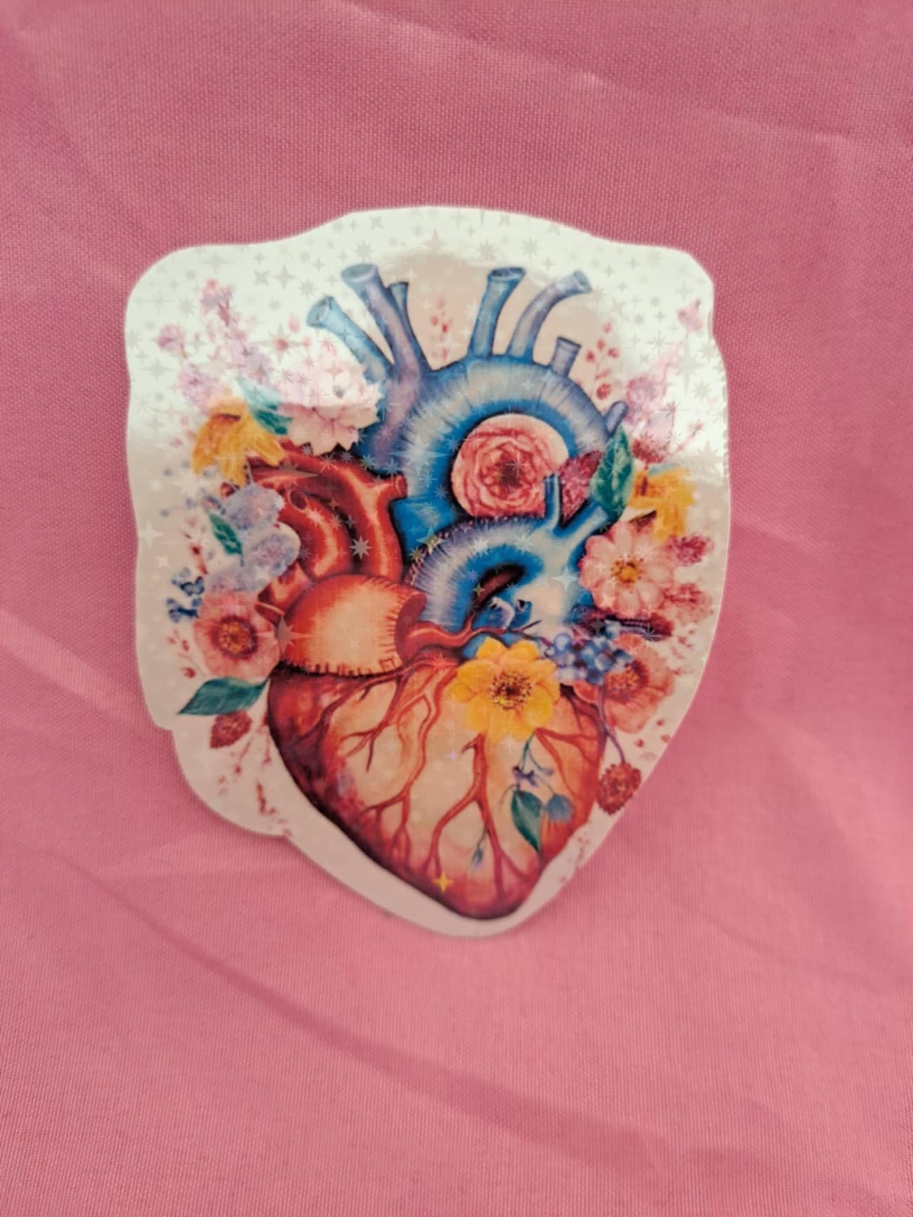 Holographic Anatomy Stickers