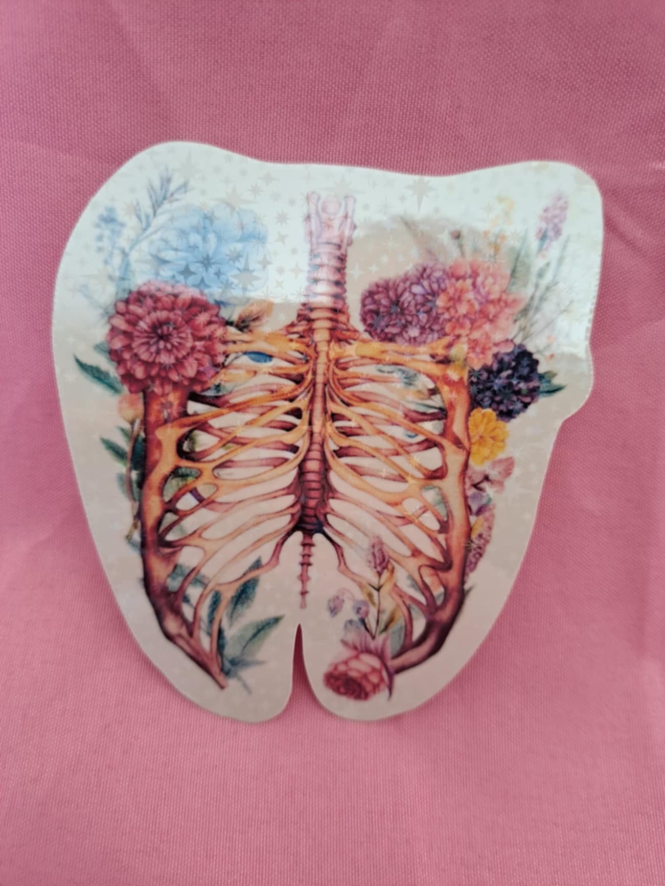 Holographic Anatomy Stickers