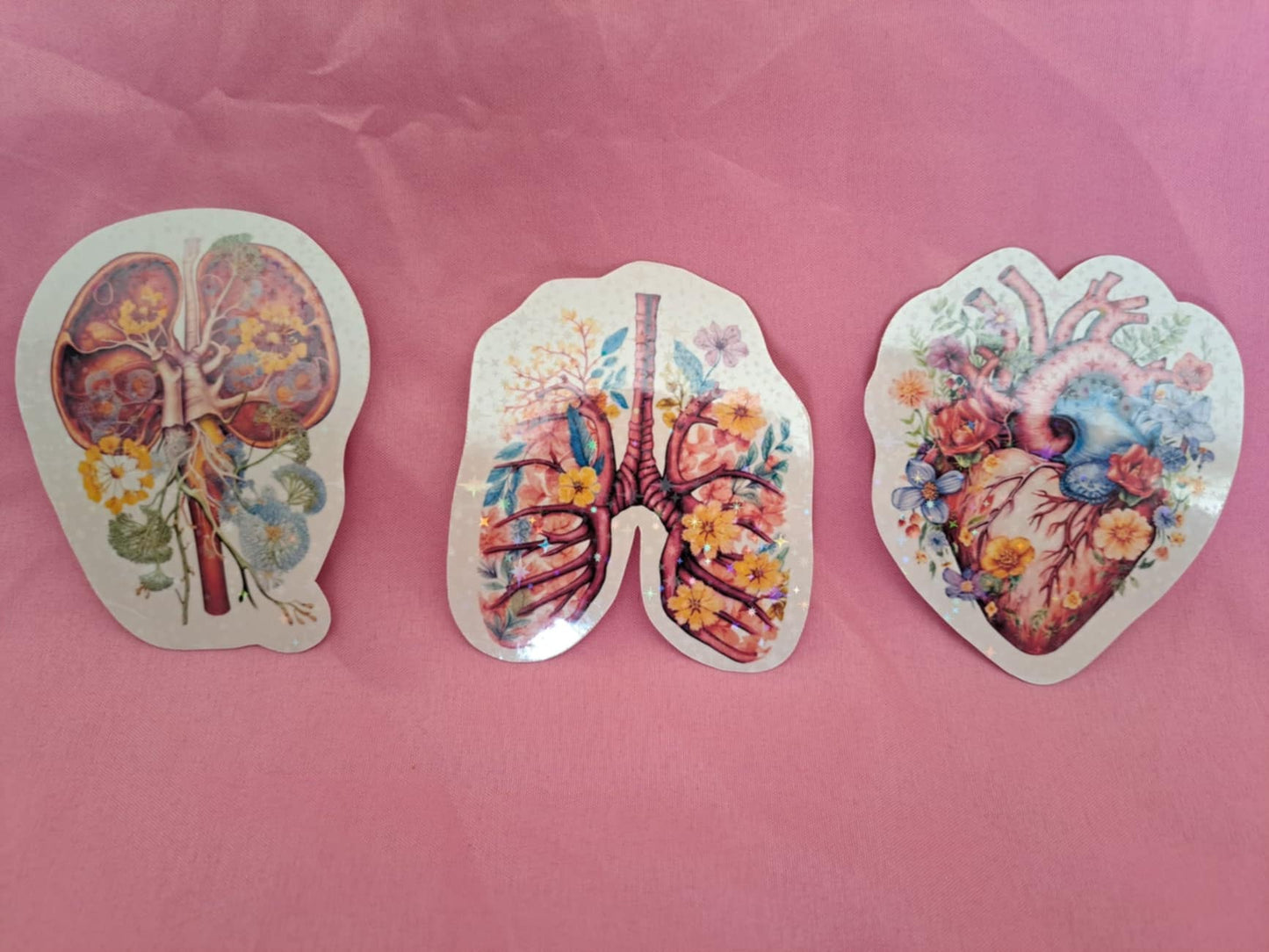 Holographic Anatomy Stickers