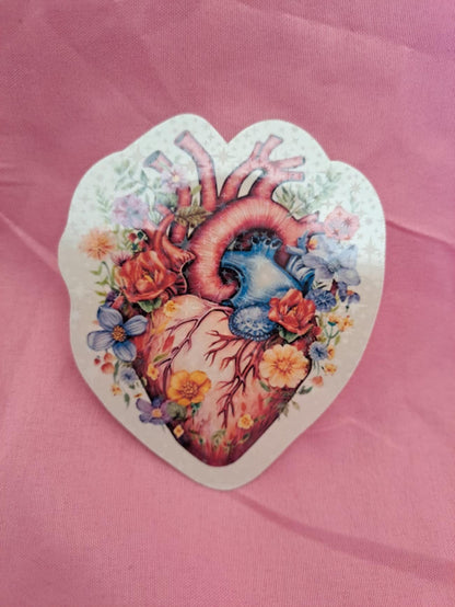 Holographic Anatomy Stickers