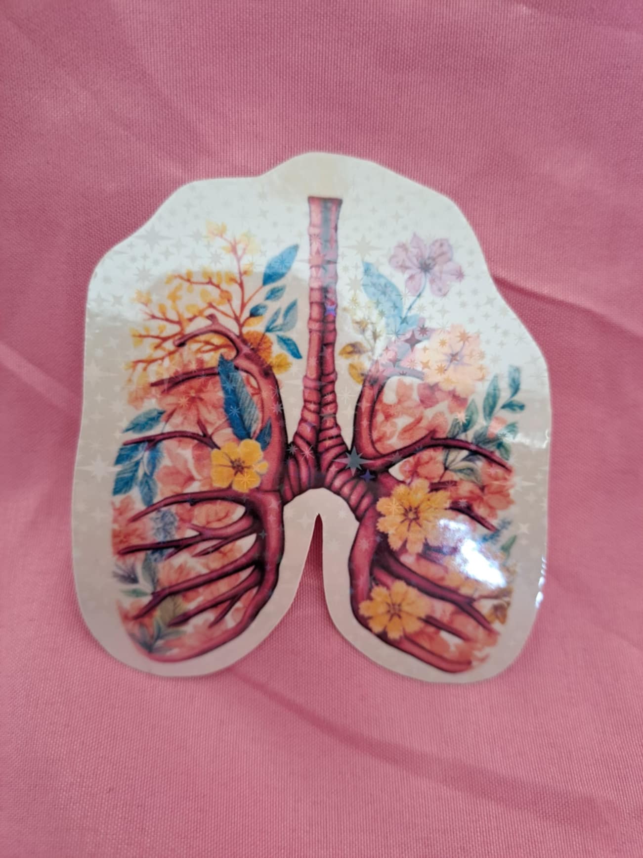 Holographic Anatomy Stickers