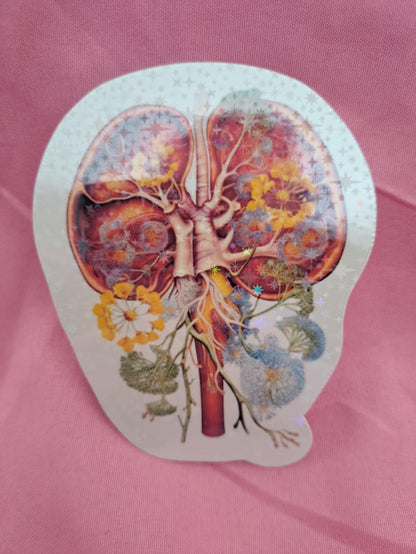 Holographic Anatomy Stickers