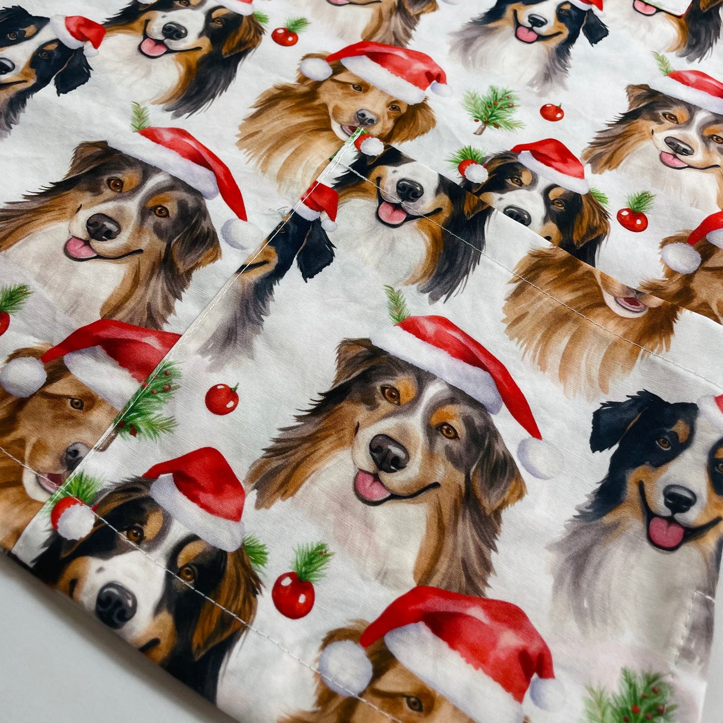 XMAS PRE ORDER - Santa Paws