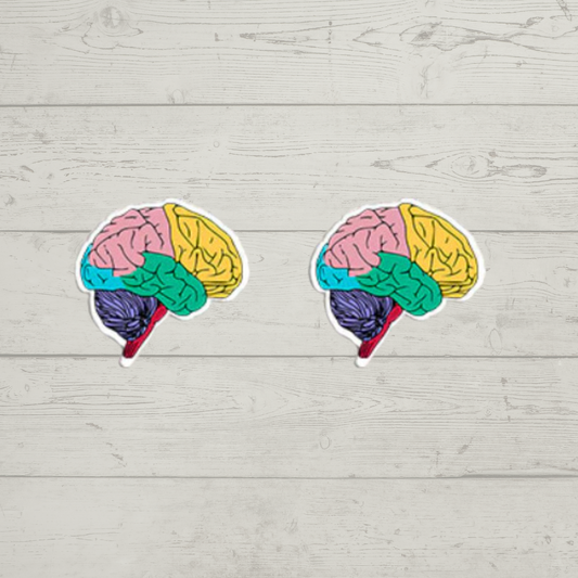 Acrylic Studs - Coloured Brain