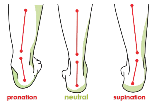 Wellness Orthotics