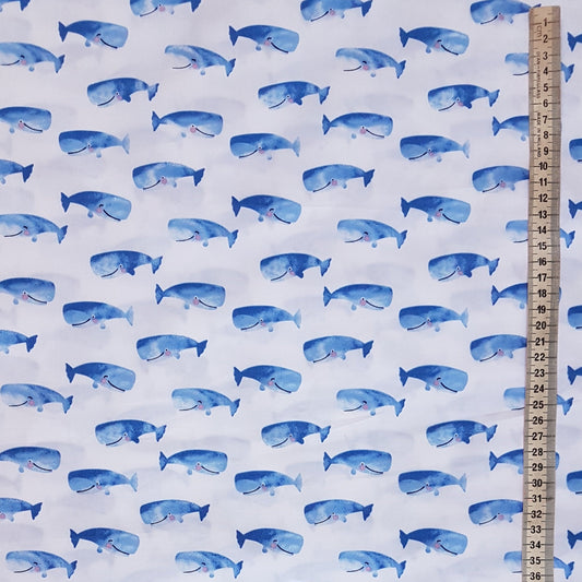 Whale of a Time Scrub Top